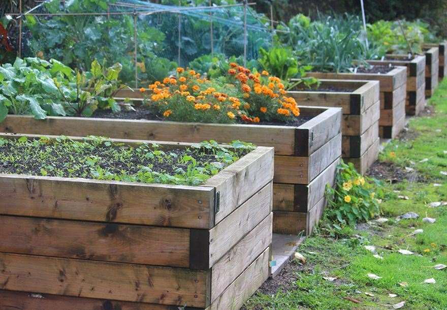 A new allotment group is being formed fo the Smithton and Culloden West area.