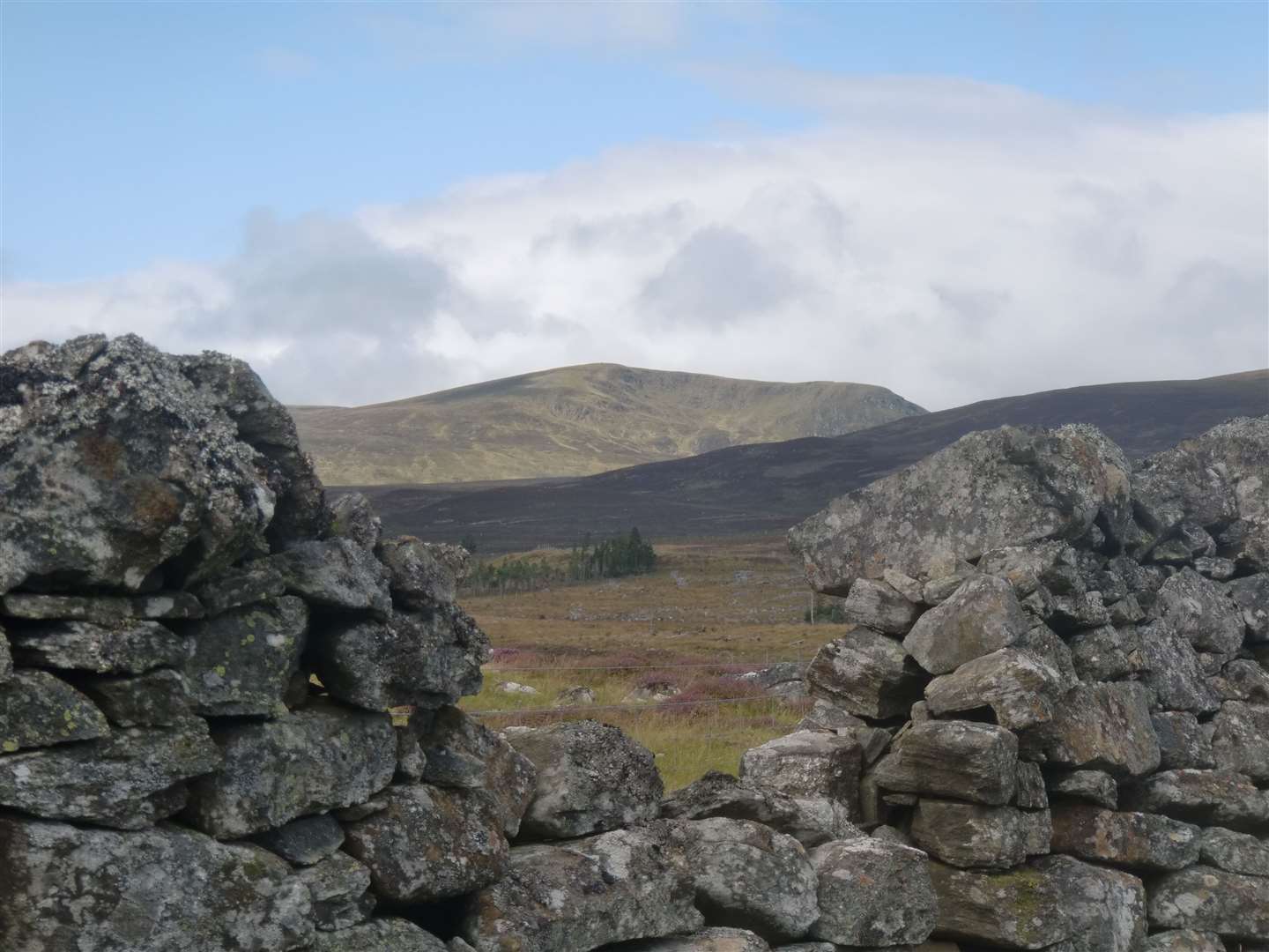 The Monadhliath Munro A' Chailleach from the drystone wall.