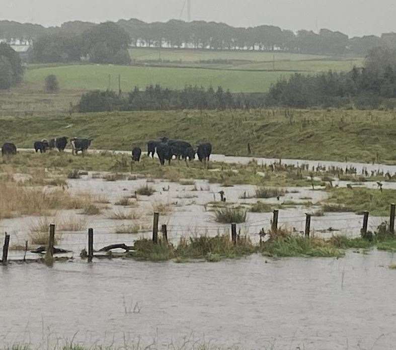 RSABI have opened a flooding fund to help affected farms.