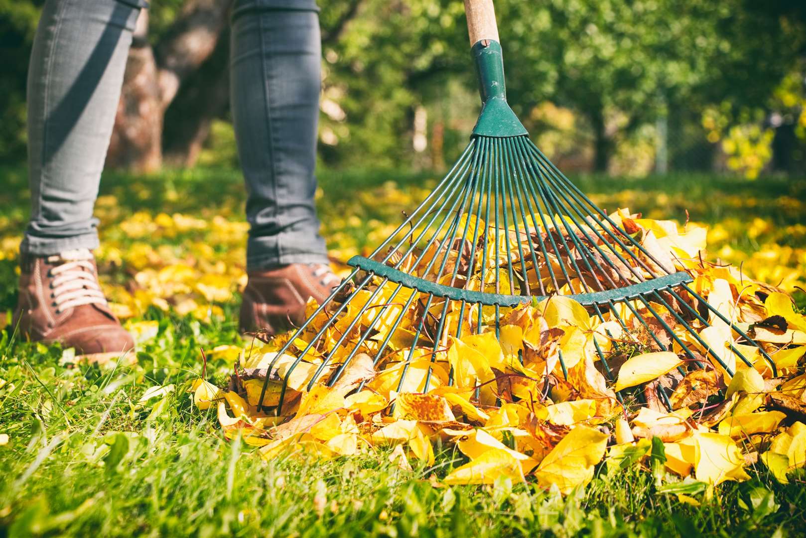 Tidy your lawn as part of an autumn clear up. Picture: iStock/PA