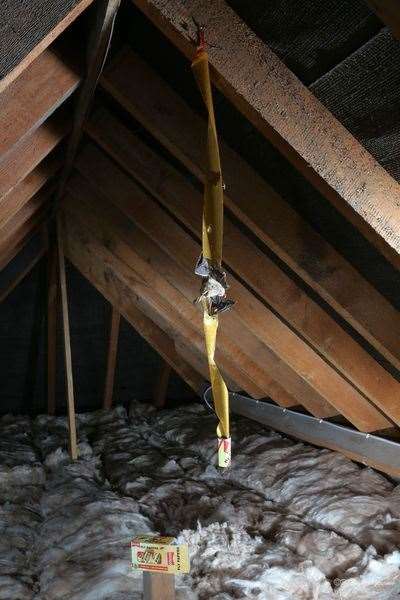 A bat in the attic may be protected under law.