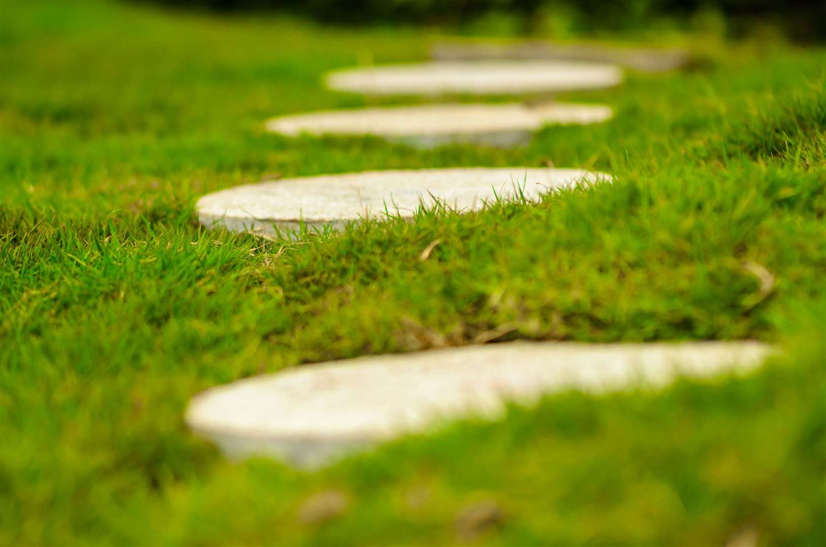 Lay stepping stones or create a path to avoid walking on sodden soil and grass. Picture: iStock/PA