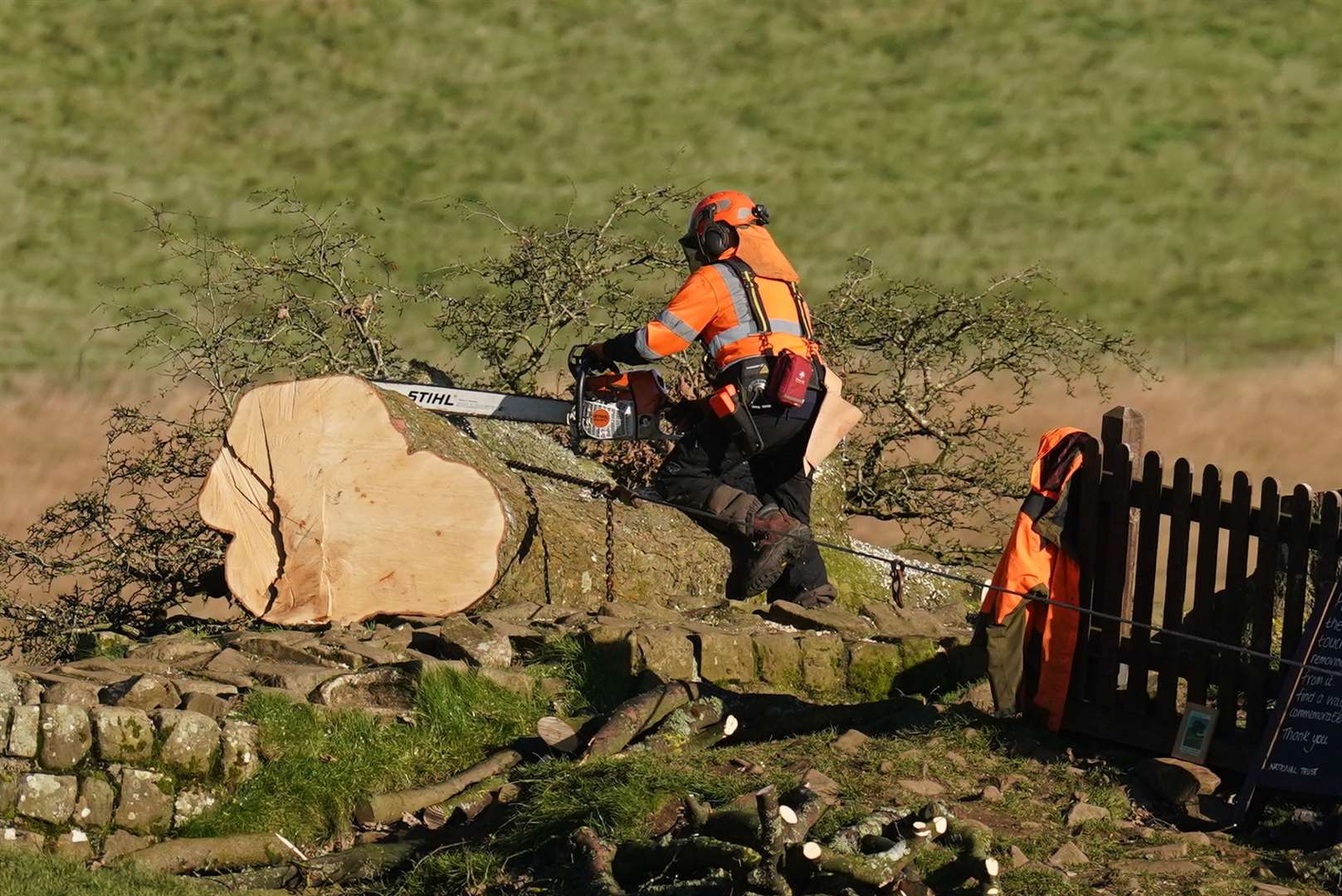 The National Trust has asked the public for suggestions on what to do with the leftover wood from the felled tree (Owen Humphreys/PA)
