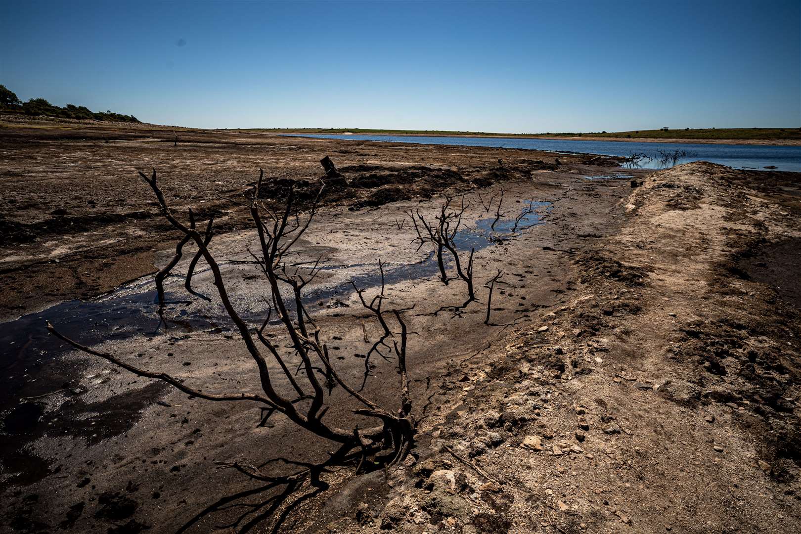 Dried mud and old trees at Colliford Lake on Bodmin Moor – Cornwall’s largest lake and reservoir (Ben Birchall/PA)