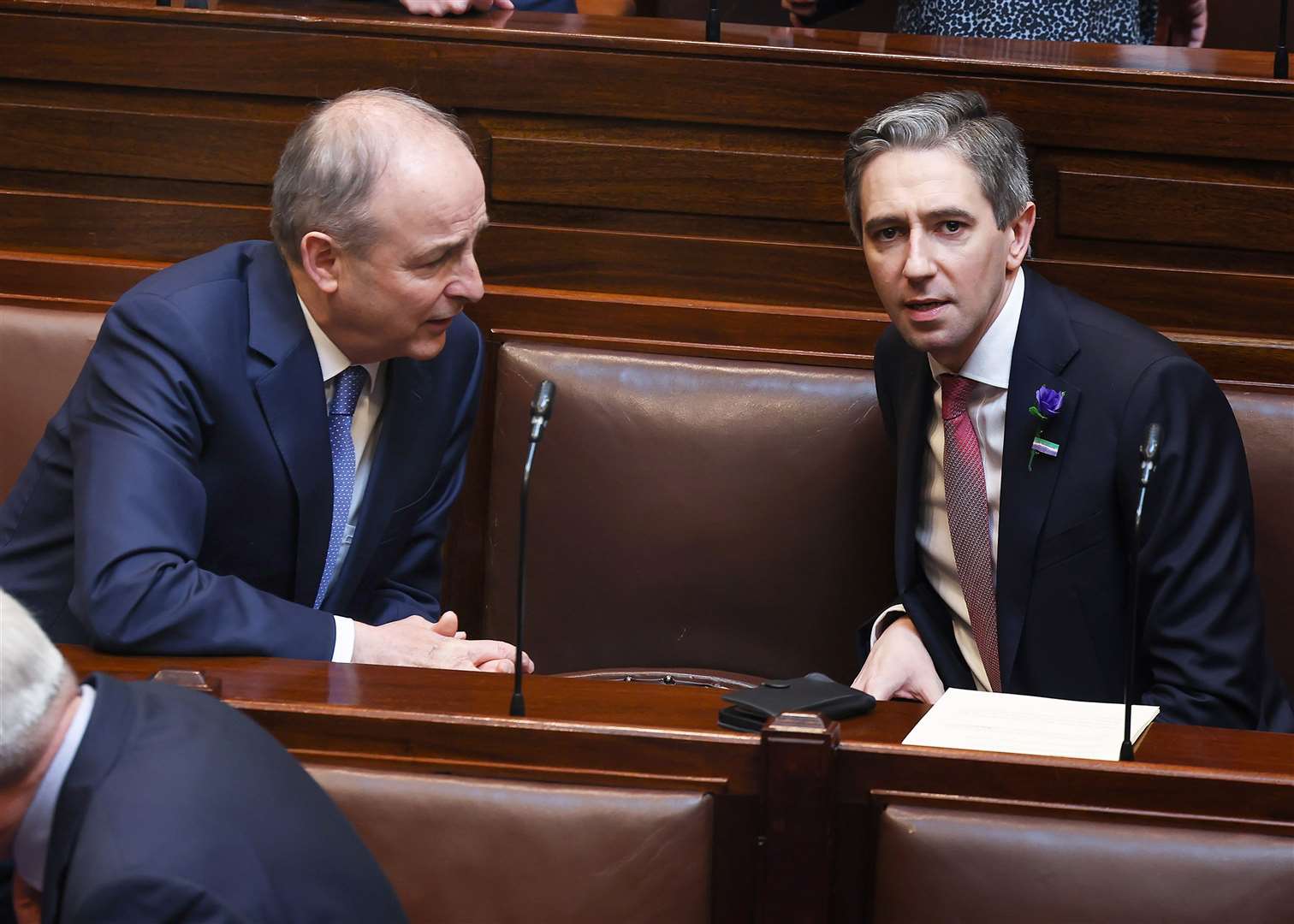 Tanaiste Micheal Martin was speaking shortly after a Cabinet reshuffle by the new Taoiseach Simon Harris (Maxwell Photography/PA)
