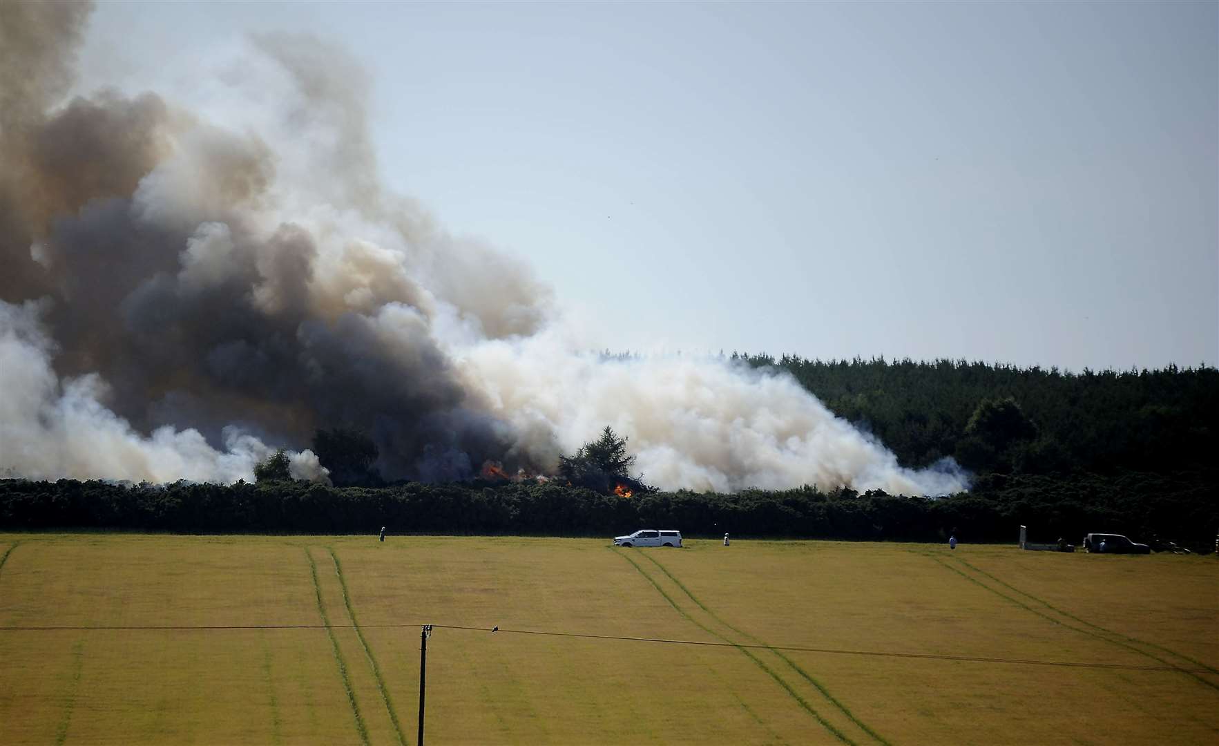 The large tree and gorse fire near Thomshill, Elgin. Picture: Highland News and Media