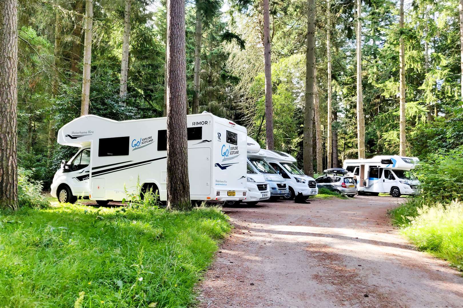 Camper vans parked in Culloden Woods carpark on the 20th July 2021. Picture: Staff photographer..