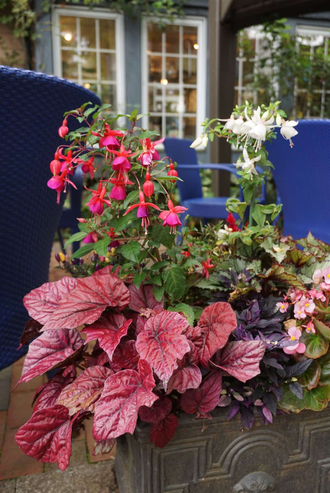 A mixed begonia and fuchsia pot. Picture: Michael Perry/PA