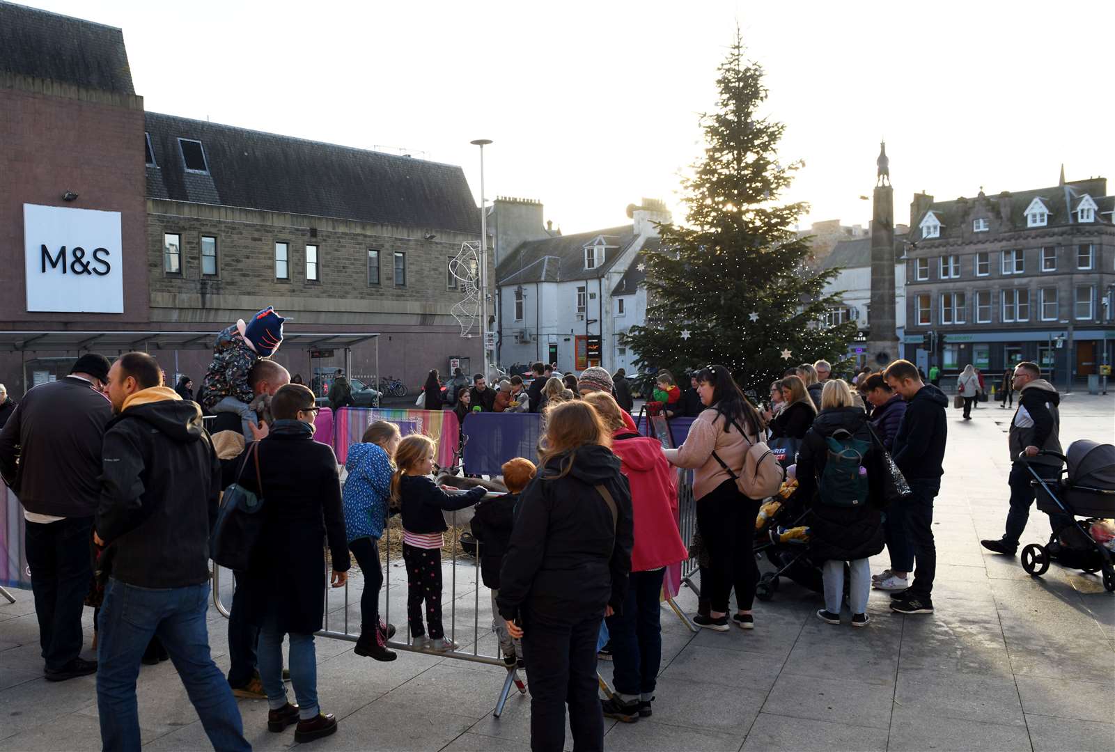 People gathered to see the reindeer in Falcon Square. Picture: James Mackenzie