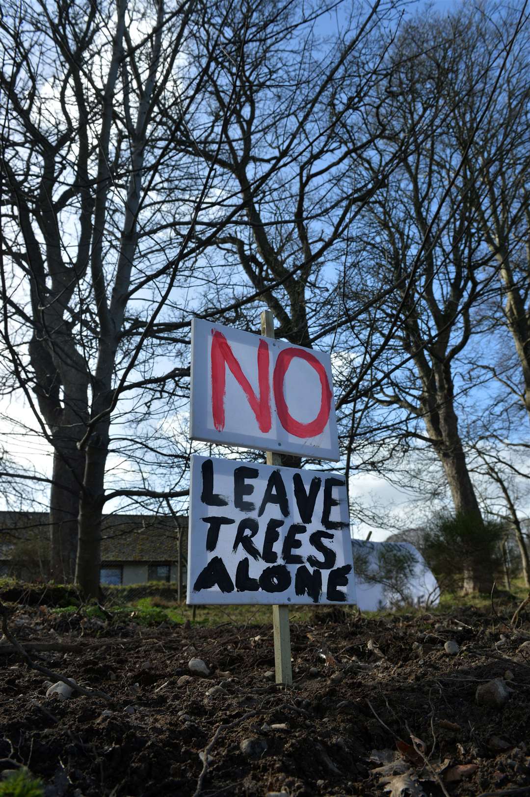 Plans to fell trees to create a bus gate in the grounds of Raigmore Hospital have sparked protests.