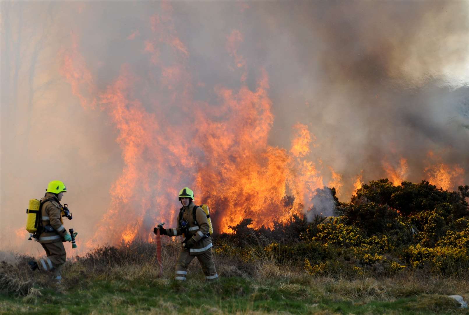 Fire Brigade try to tackle wildfire on moor between Daviot Wood and Milton Of Leys Picture: Gary Anthony