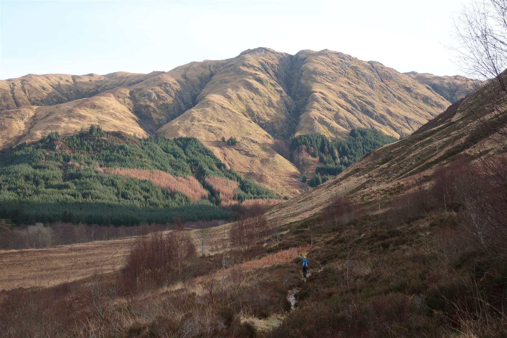 The hills remain too far from home for most Mountaineering Scotland members.
