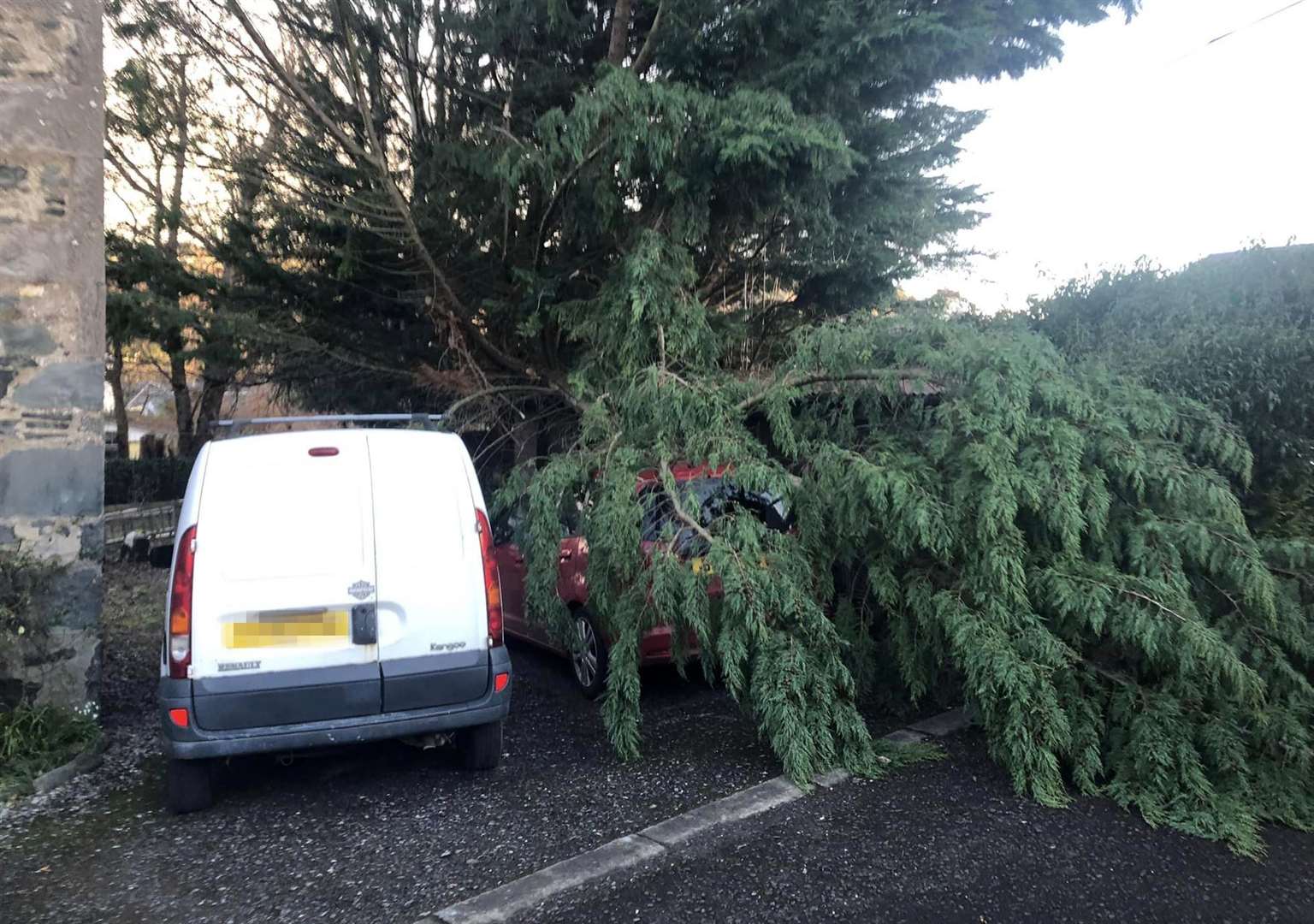 A tree fell on to a car in strong winds in Aberfeldy, Perthshire (PA)