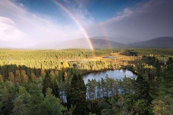 Uath Lochans.... one of the hidden beauty spots in the Cairngorms National Park.