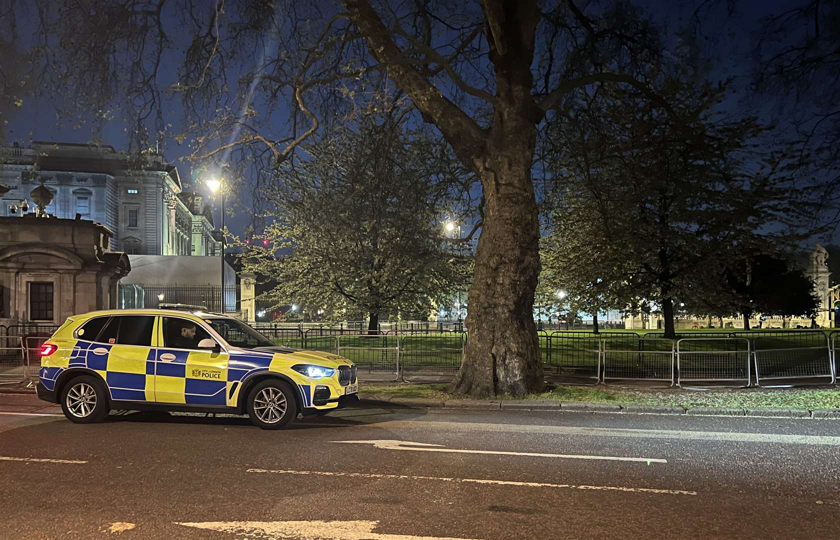 A police car outside Buckingham Palace (Ben Roberts-Haslam/PA)
