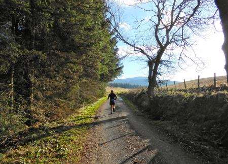A quiet road which turns into a farm track heads up over The Gownie – a popular shortcut between Aberlour and Dufftown.