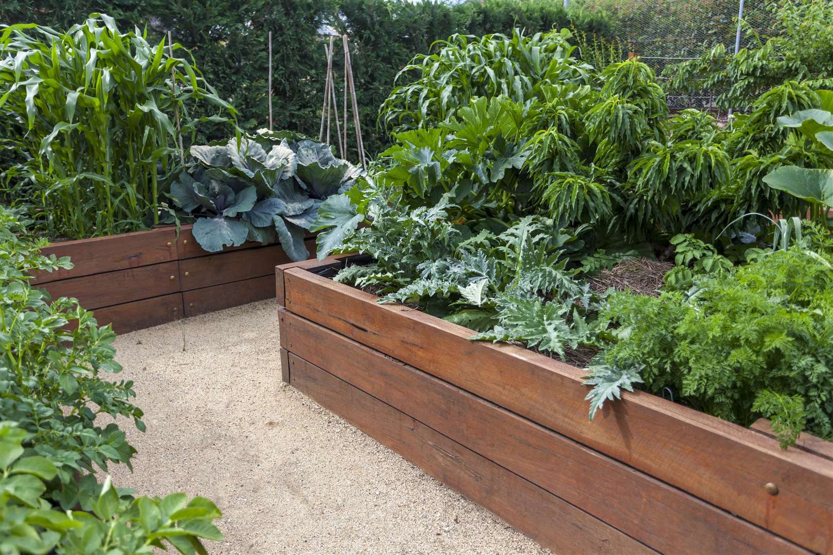 Create raised beds. Picture: iStock/PA