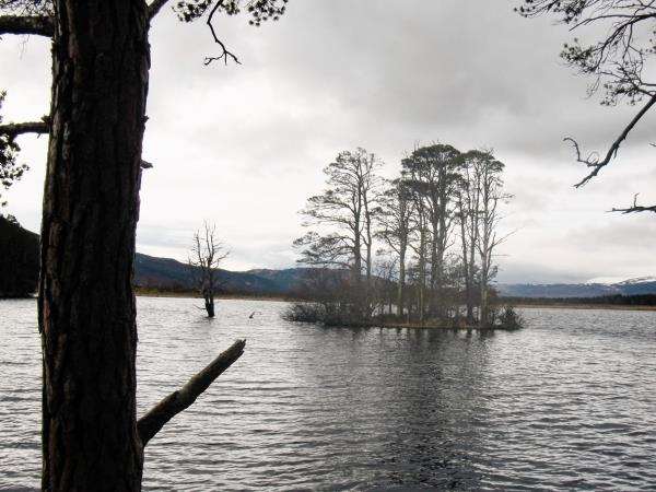 Loch Mallachie – a scenic spot for a picnic.