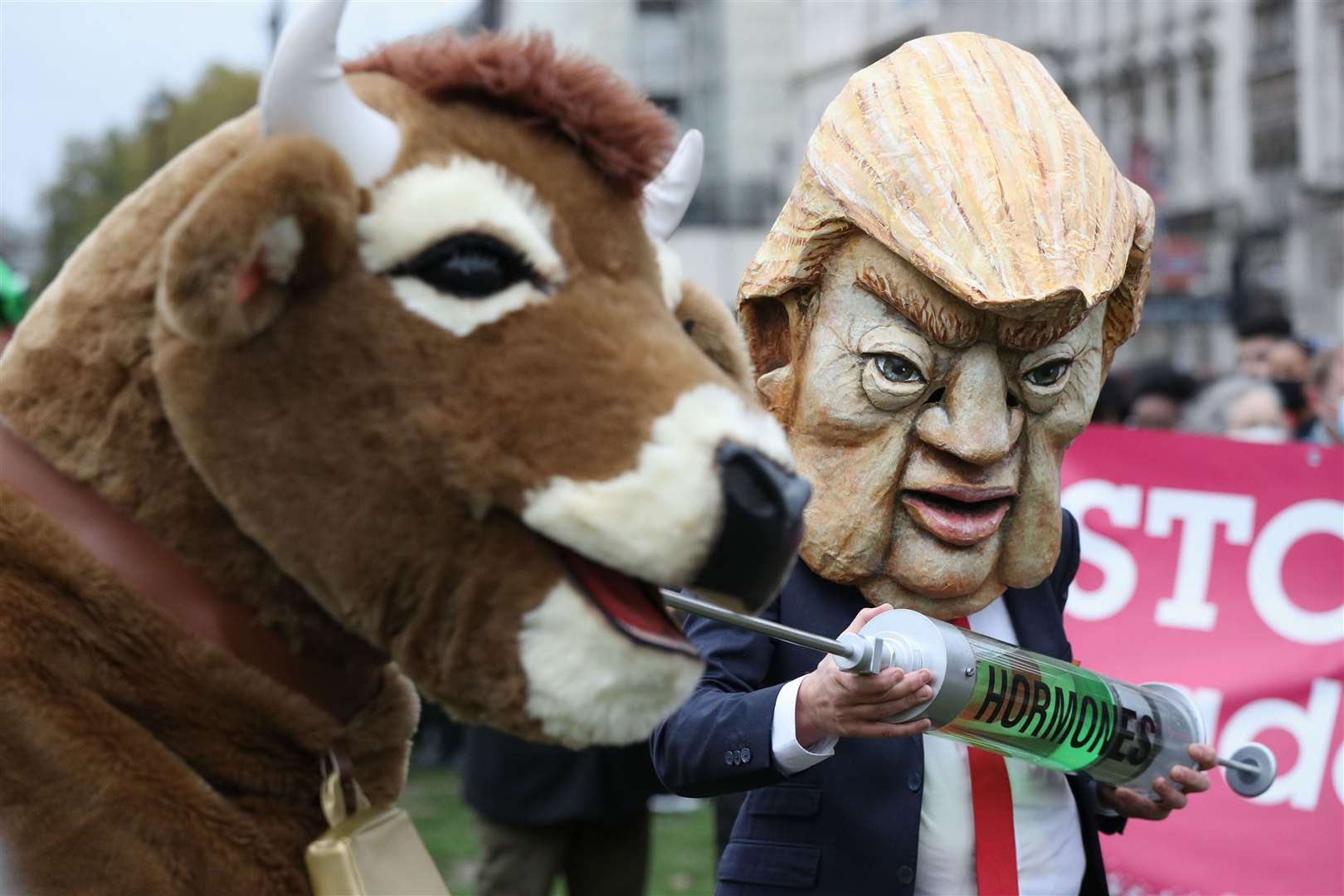 A protest in Parliament Square featured a demonstrator dressed as Donald Trump and a pantomime cow (Jonathan Brady/PA)