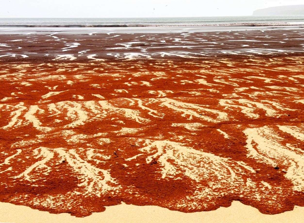 The sea and sand were tainted blood-red by the strange substance. Picture: Linda Stewart