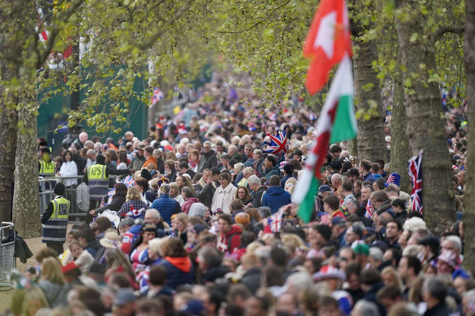 Crowds gathered along The Mall to watch the procession to the abbey (James Manning/PA)