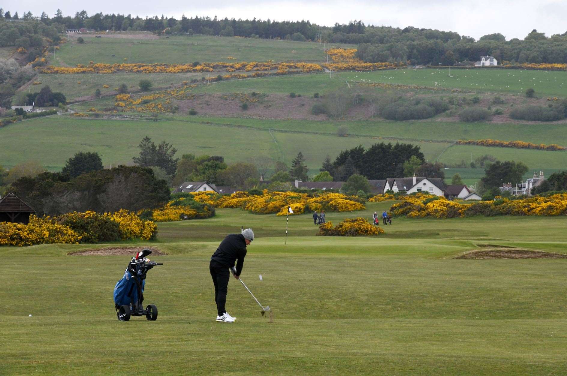 Golf on the Black Isle at Fortrose and Rosemarkie Golf Club links golf course. Picture: James Mackenzie.