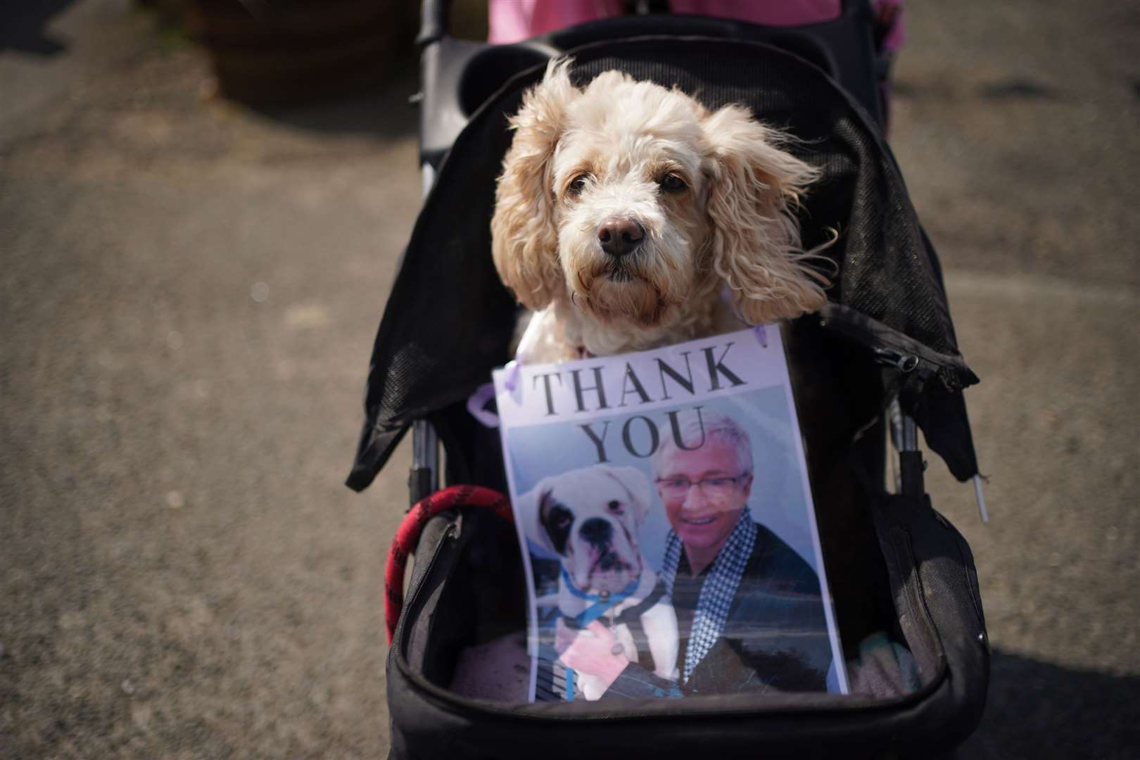 Many tributes were linked to the TV star’s love of dogs (Yui Mok/PA)