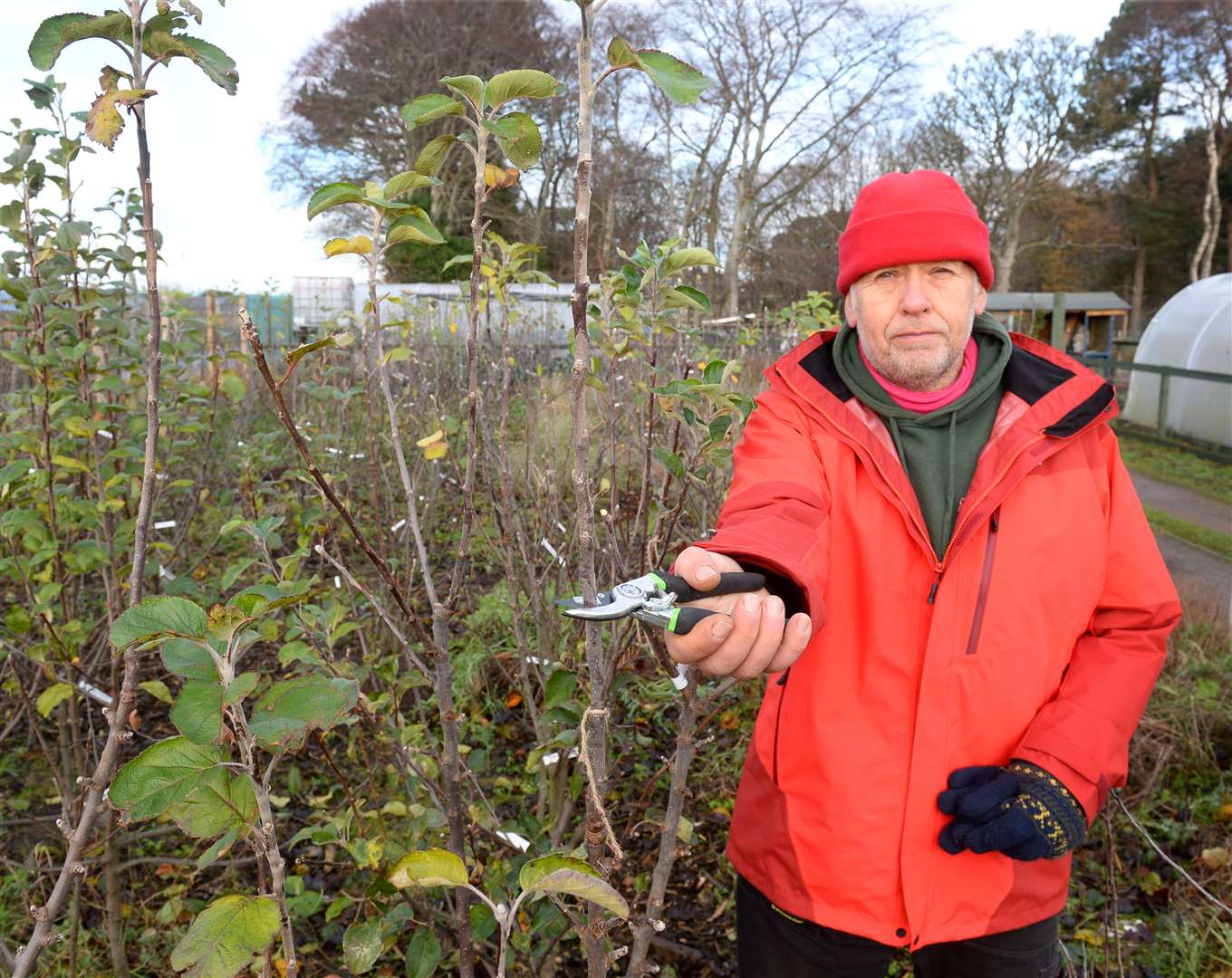 Des Scholes of Nairn Allotments Orchard Group.