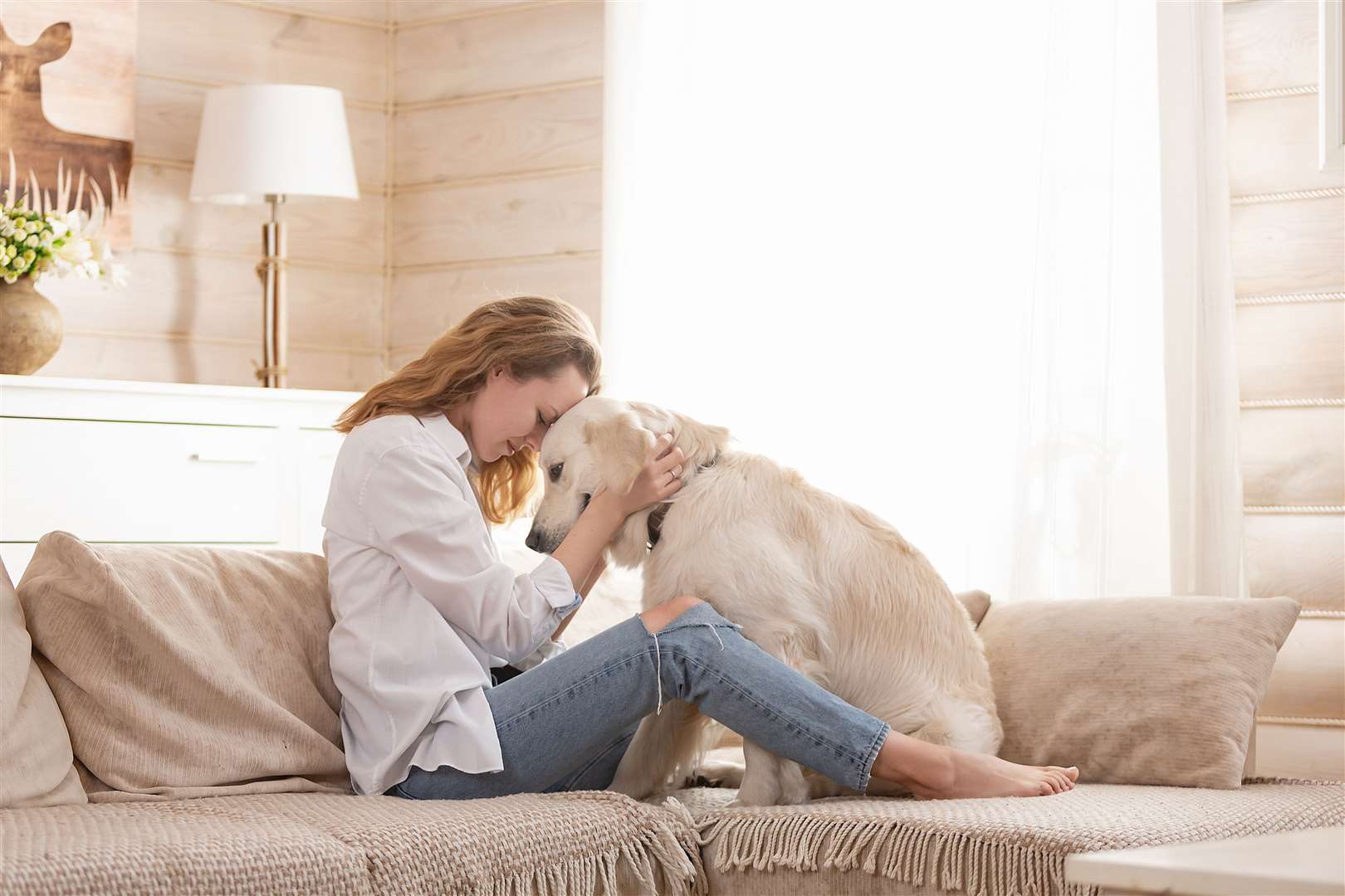 Dogs often seem to understand when we are in need of comfort.