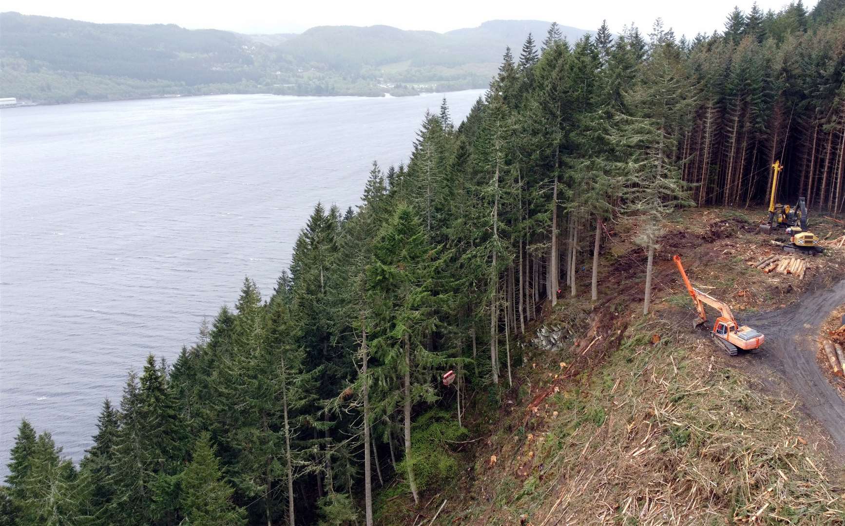 Some of the plantation tree felling has been on and next to extremely steep slopes. Picture: FLS.