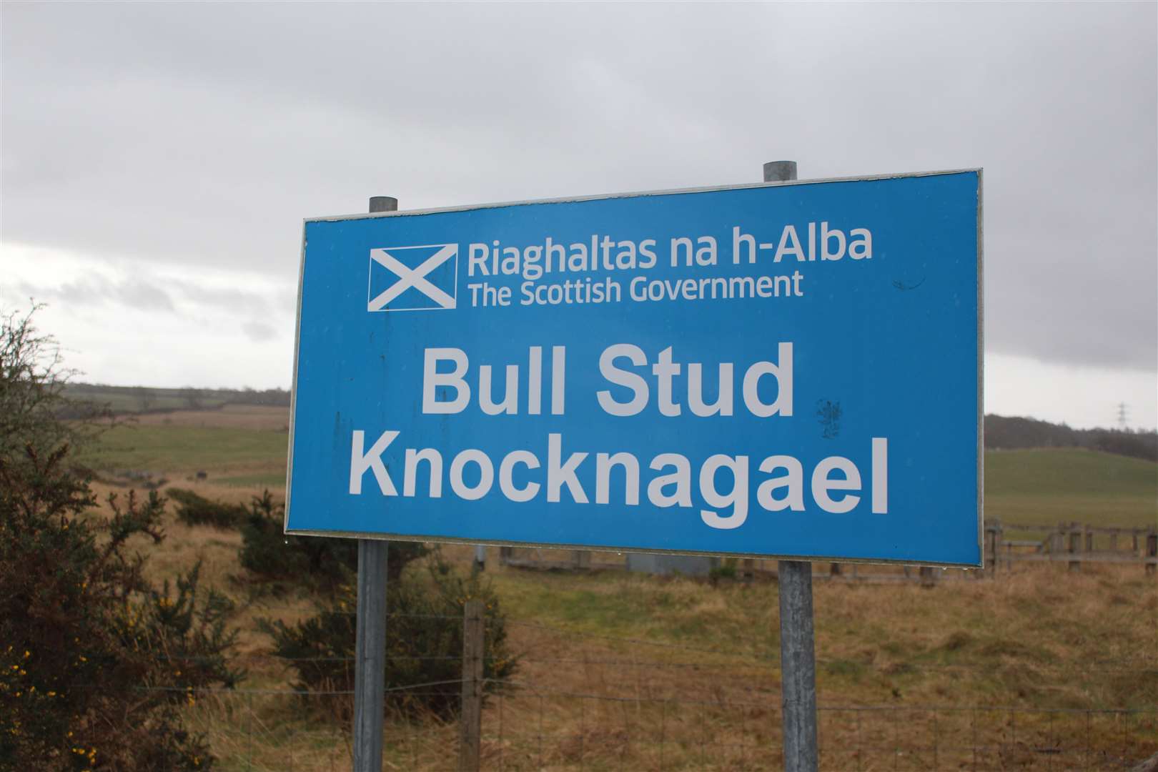 Knocknagael Bull Stud Farm in Inverness..