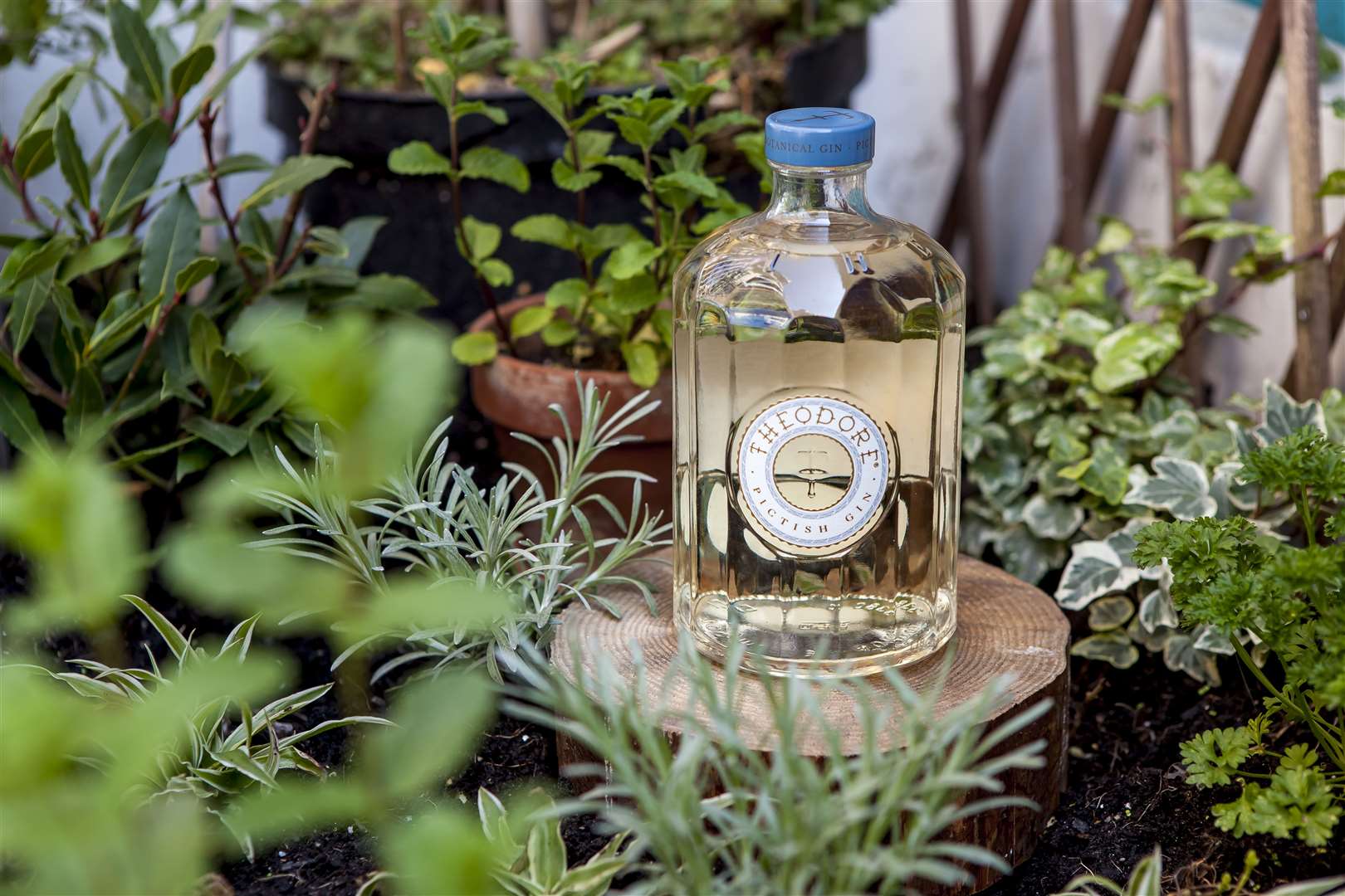 Theodore Gin is an elegant gin with a floral heart and warm, rich finish.
