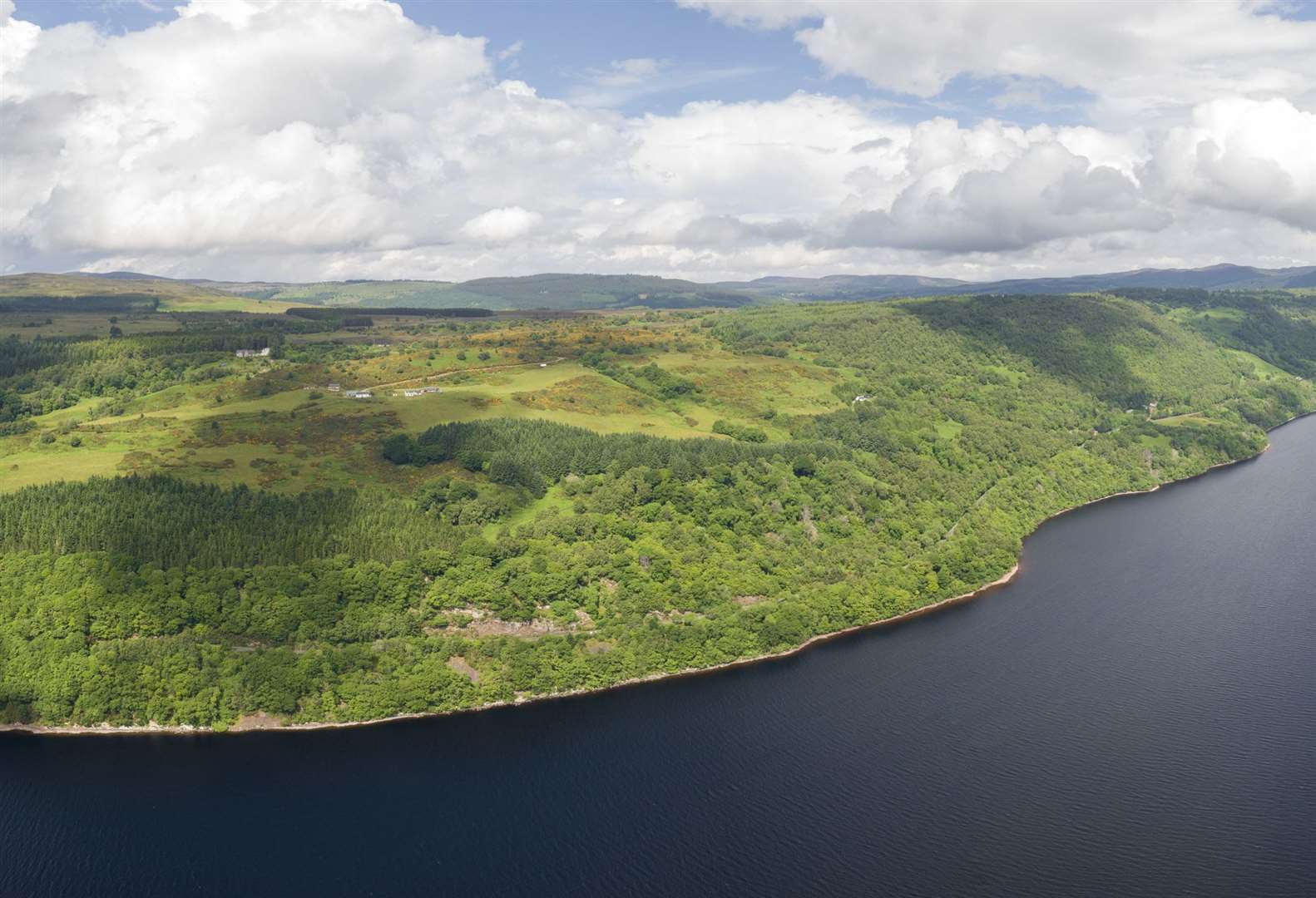 Work is planned to reverse Bunloit Estate near Loch Ness from a net carbon source into a net carbon sink.