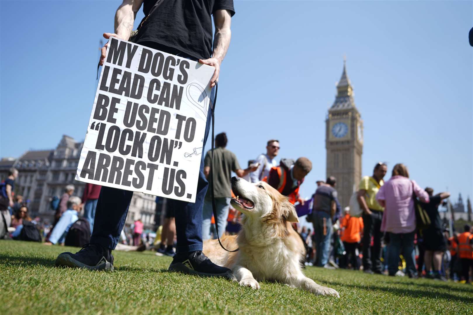 A person with their dog during the Not My Bill protest (James Manning/PA)