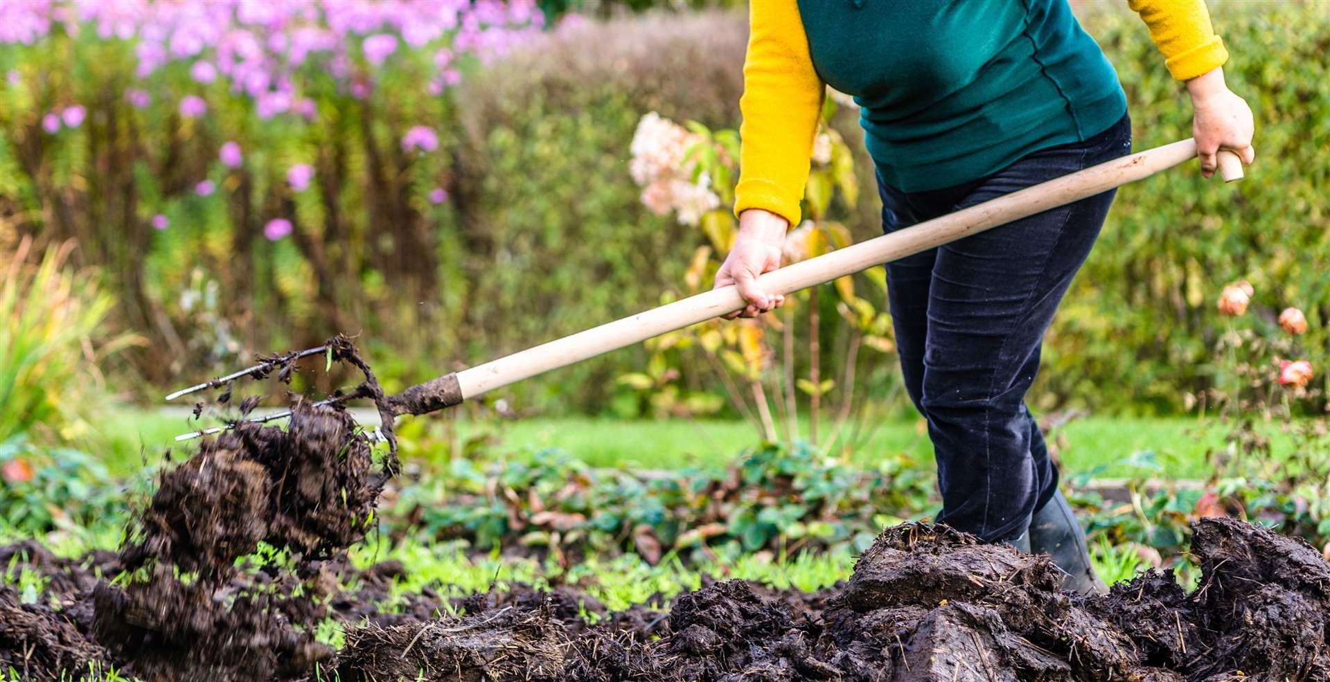 Adding organic fertilizer can help create an aerated area.