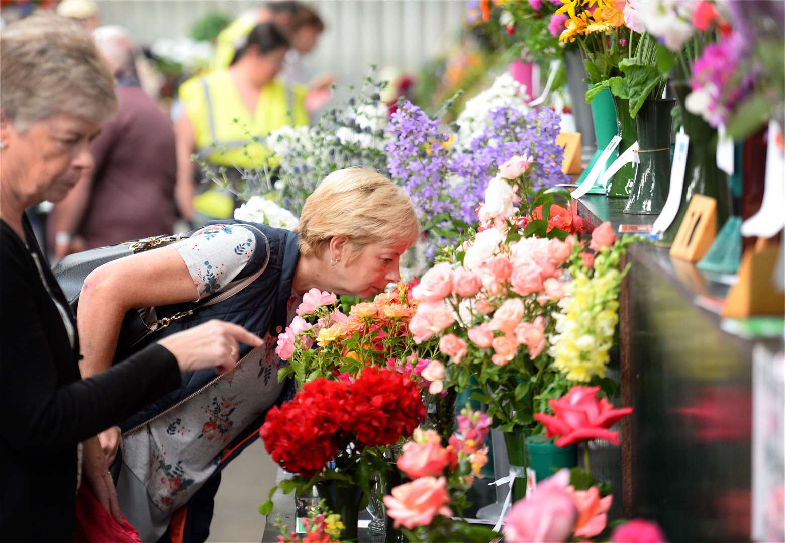 Perfume in the air at the 2019 Black Isle Show Flower Show. Photo: Gary Anthony.
