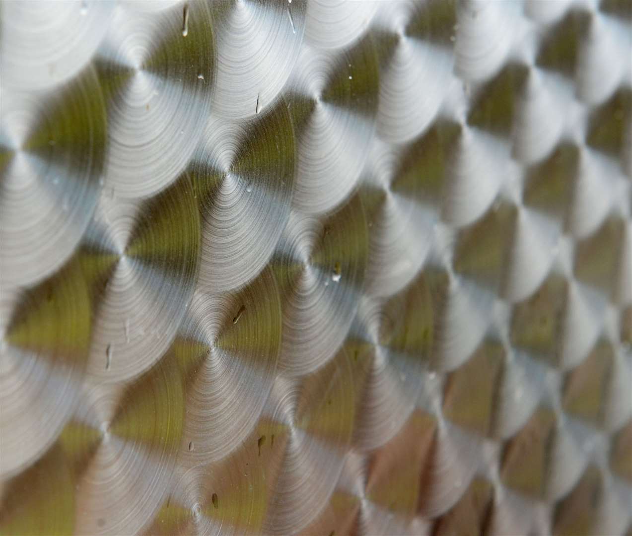 The surface designed to resemble salmon scales.