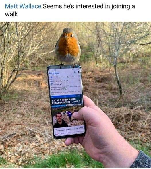A robin joined Clarity Walks for one of its guided walks.