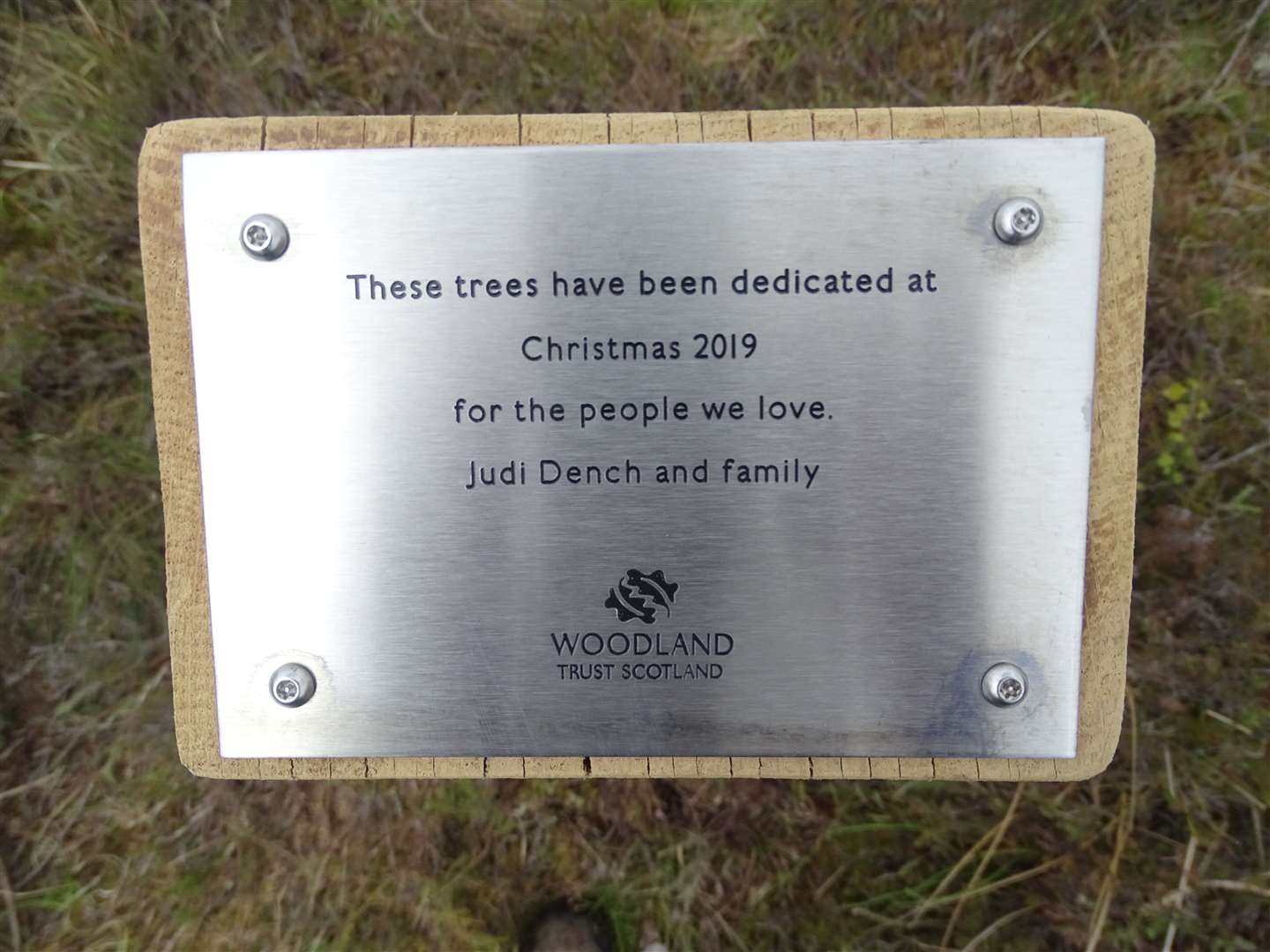 The dedication reads: “These trees have been dedicated at Christmas 2019 for the people we love. Judi Dench and family.”