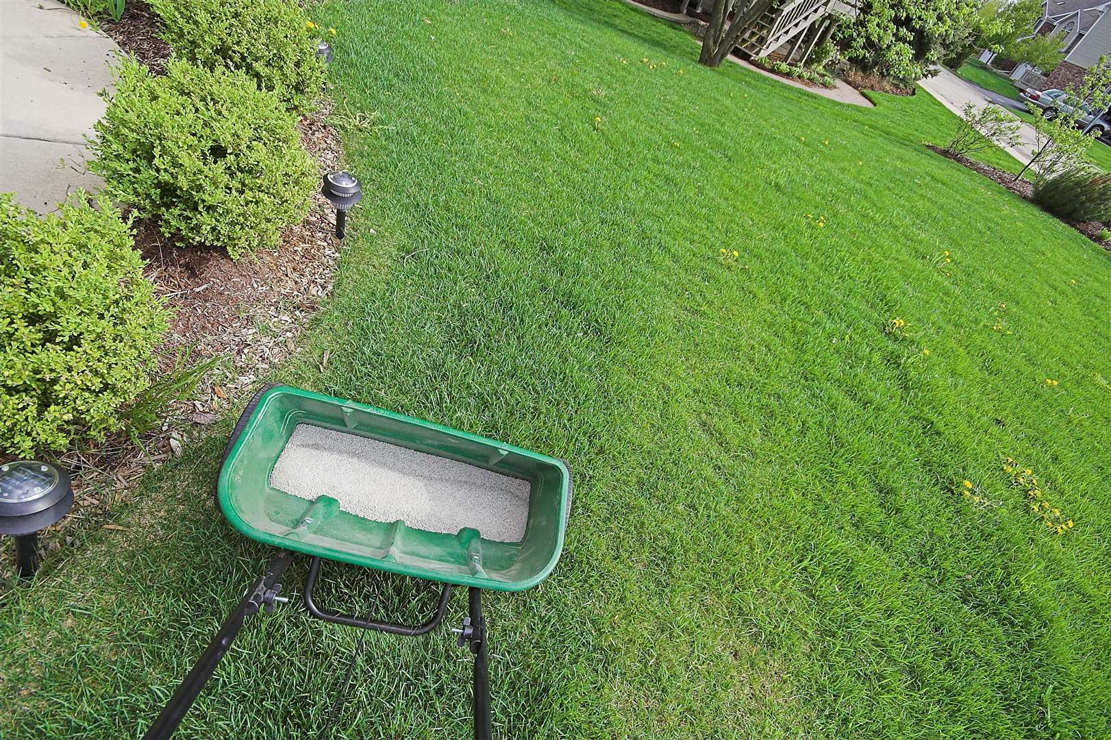 For best results, feed your lawn.