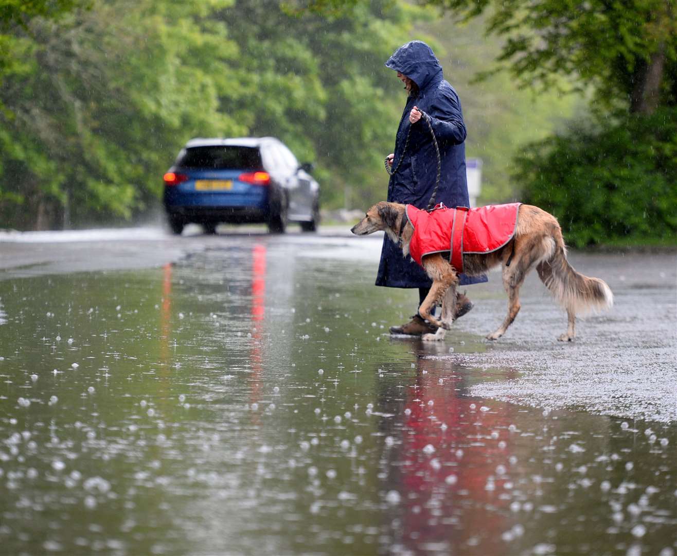 Heavy rain around Inverness, with dog walker on Bught Road. Picture: Gary Anthony.