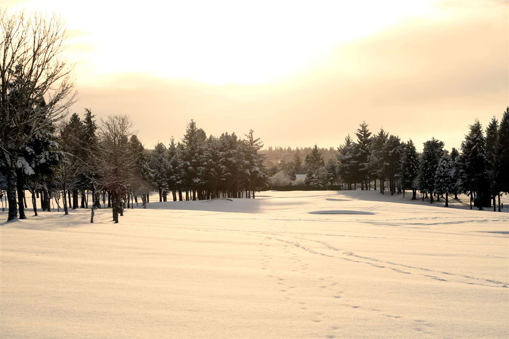 Inverness Golf Course in the snow. Picture: James Mackenzie.