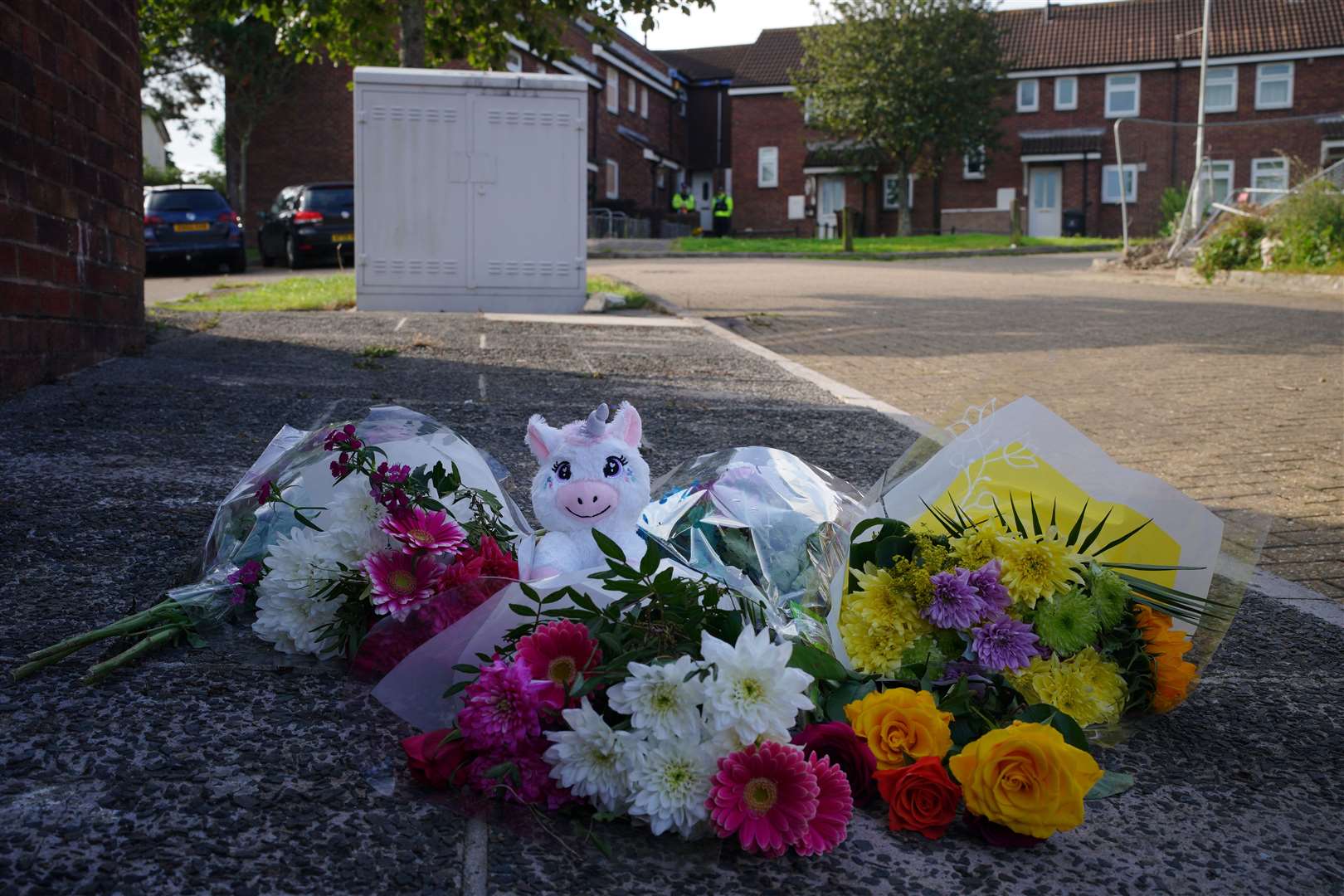 Floral tributes left in Biddick Drive, Keyham in Plymouth, Devon, where five people were killed by a gunman (Ben Birchall/PA)