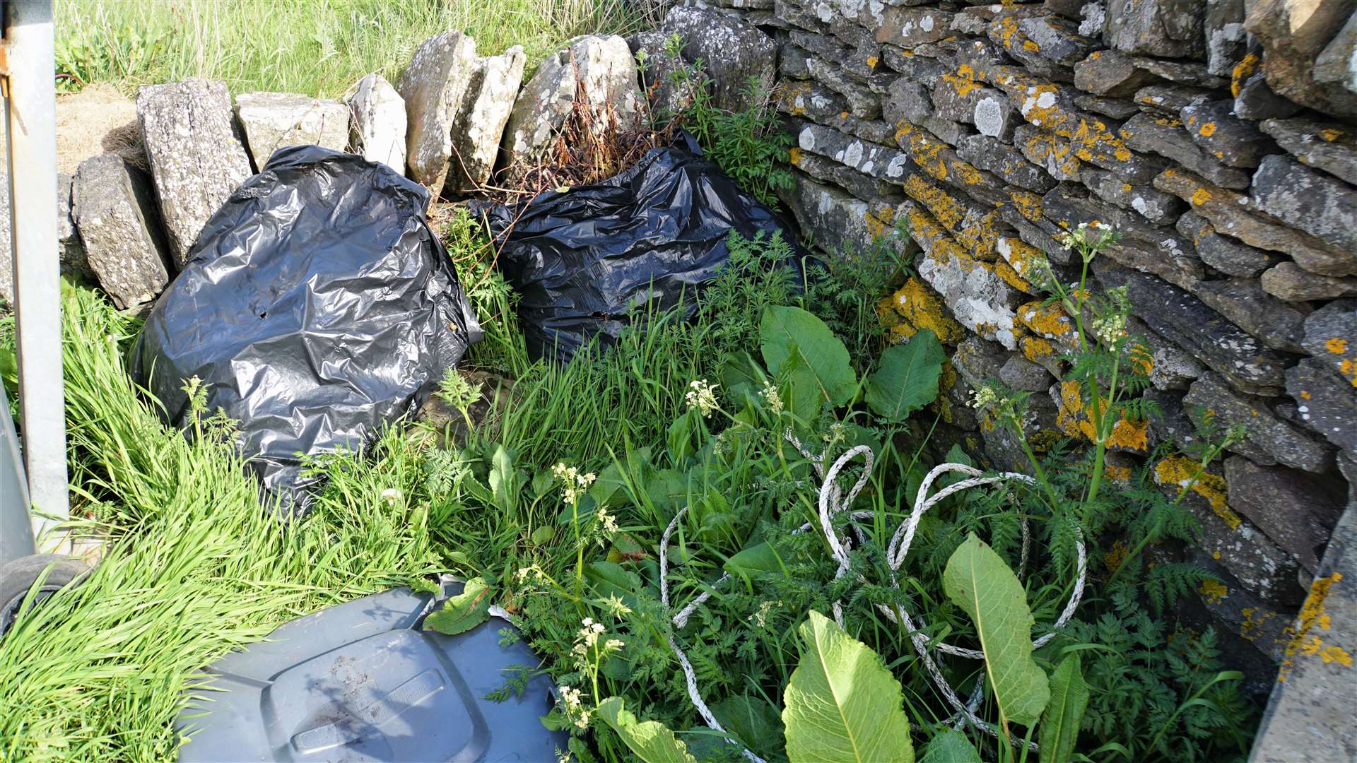 Fly tipped garden waste at Castle of Old Wick car park. Picture: DGS