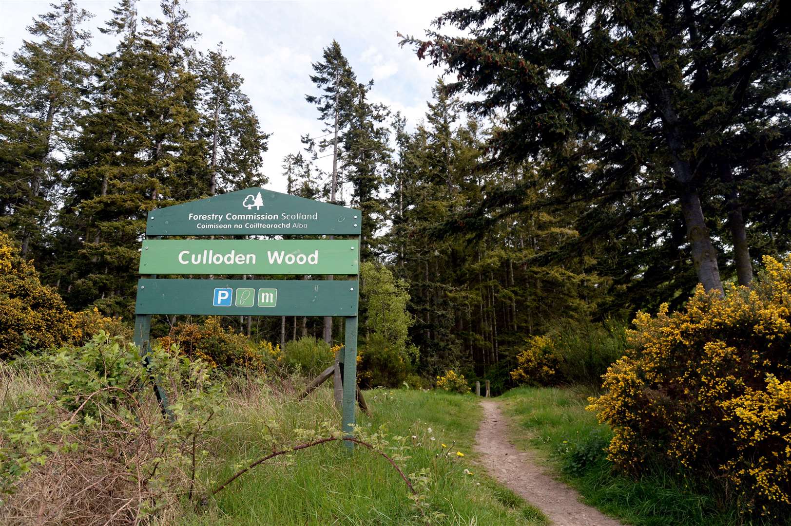 Culloden Wood is a popular spot for walking.