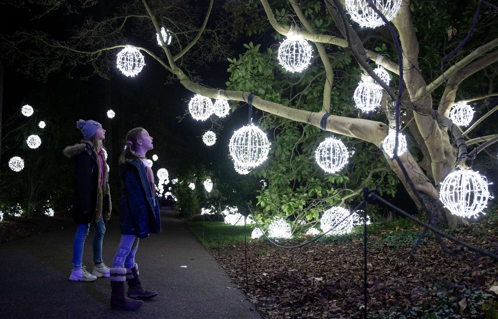 Elena Kingstone, 11, left, and Lulu Kingstone, nine, look up at lanterns hanging from a tree (Andrew Matthews/PA)