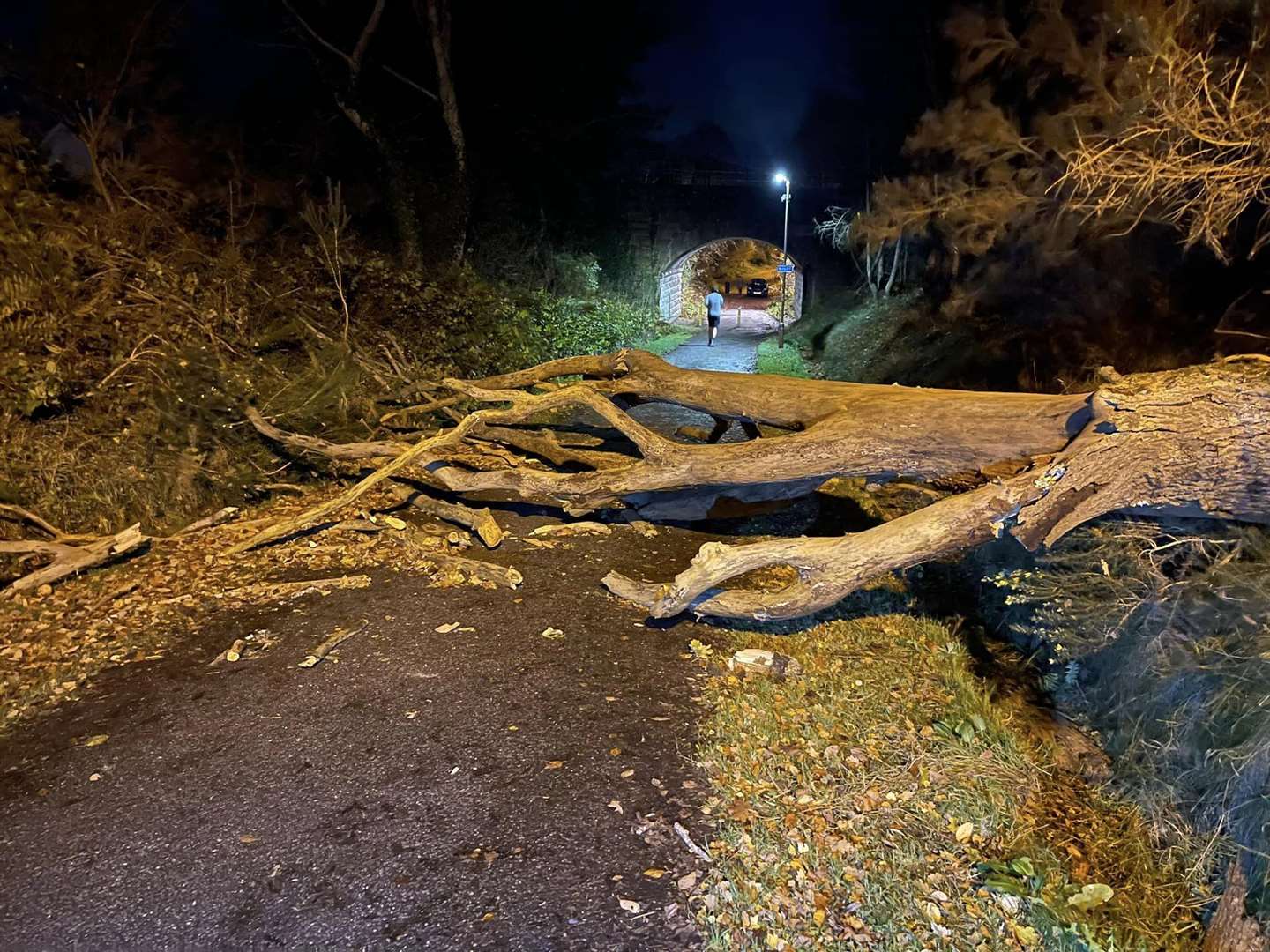 Overnight storms have brought down a number of tress in and around Inverness