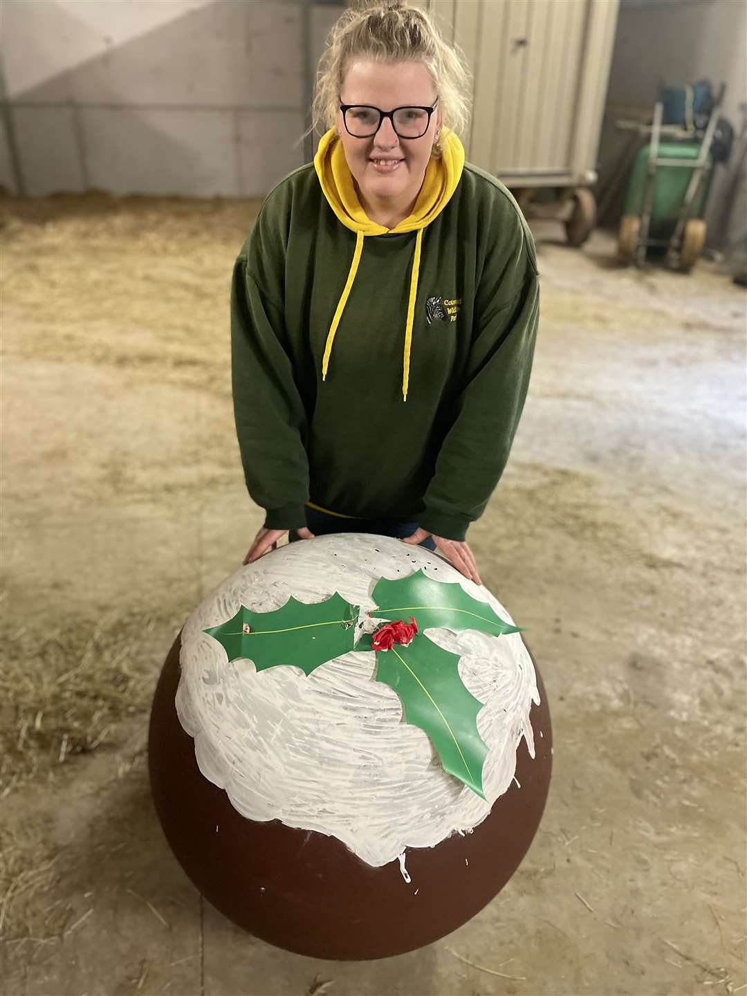 The keepers at Cotswold Wildlife Park prepared a catnip-covered Christmas pudding enrichment ball for their Asiatic lions – they were not fans (Cotswold Wildlife Park)