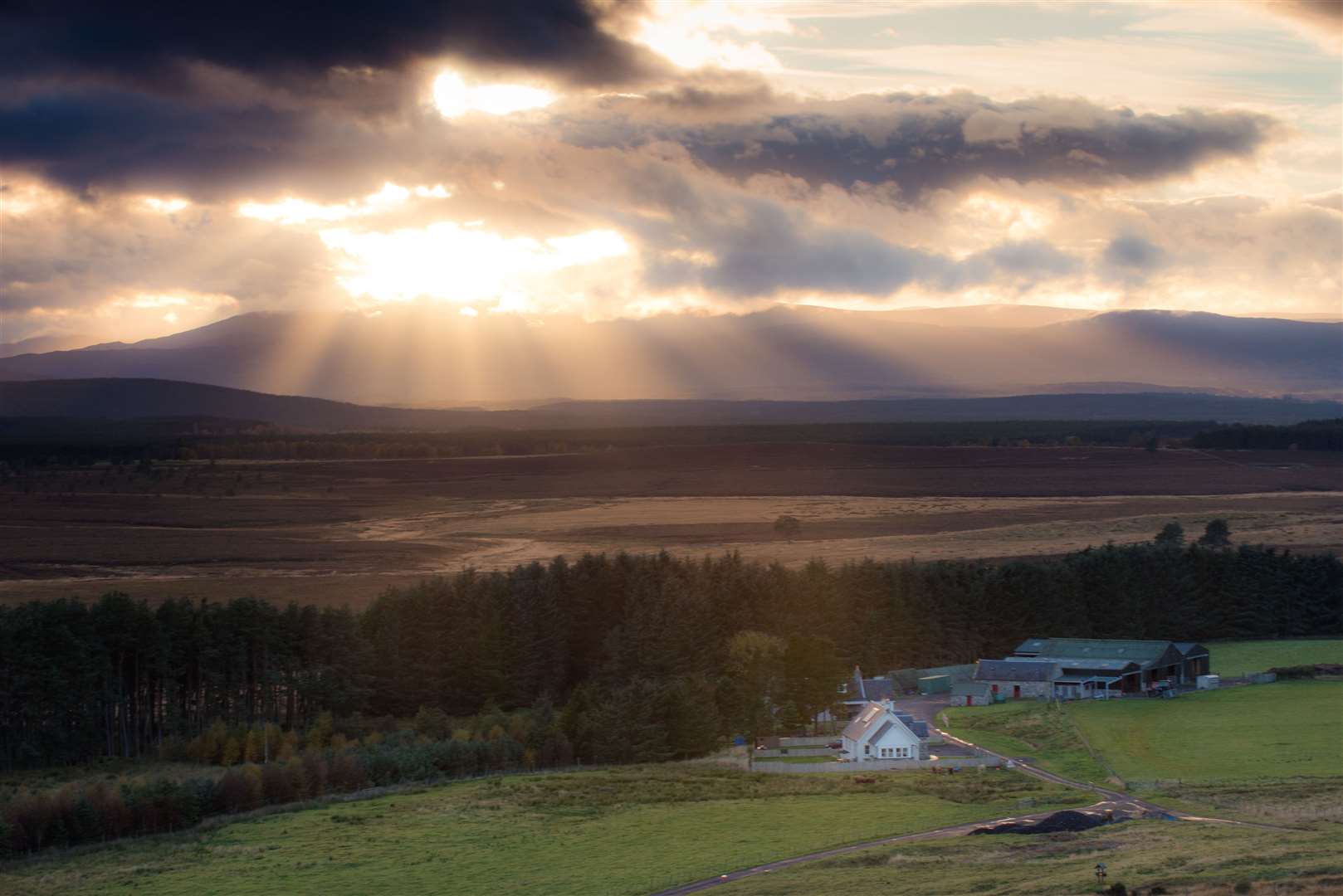 Abernethy Forest from Lynebreck. Picture: VisitScotland / Damian Shields.