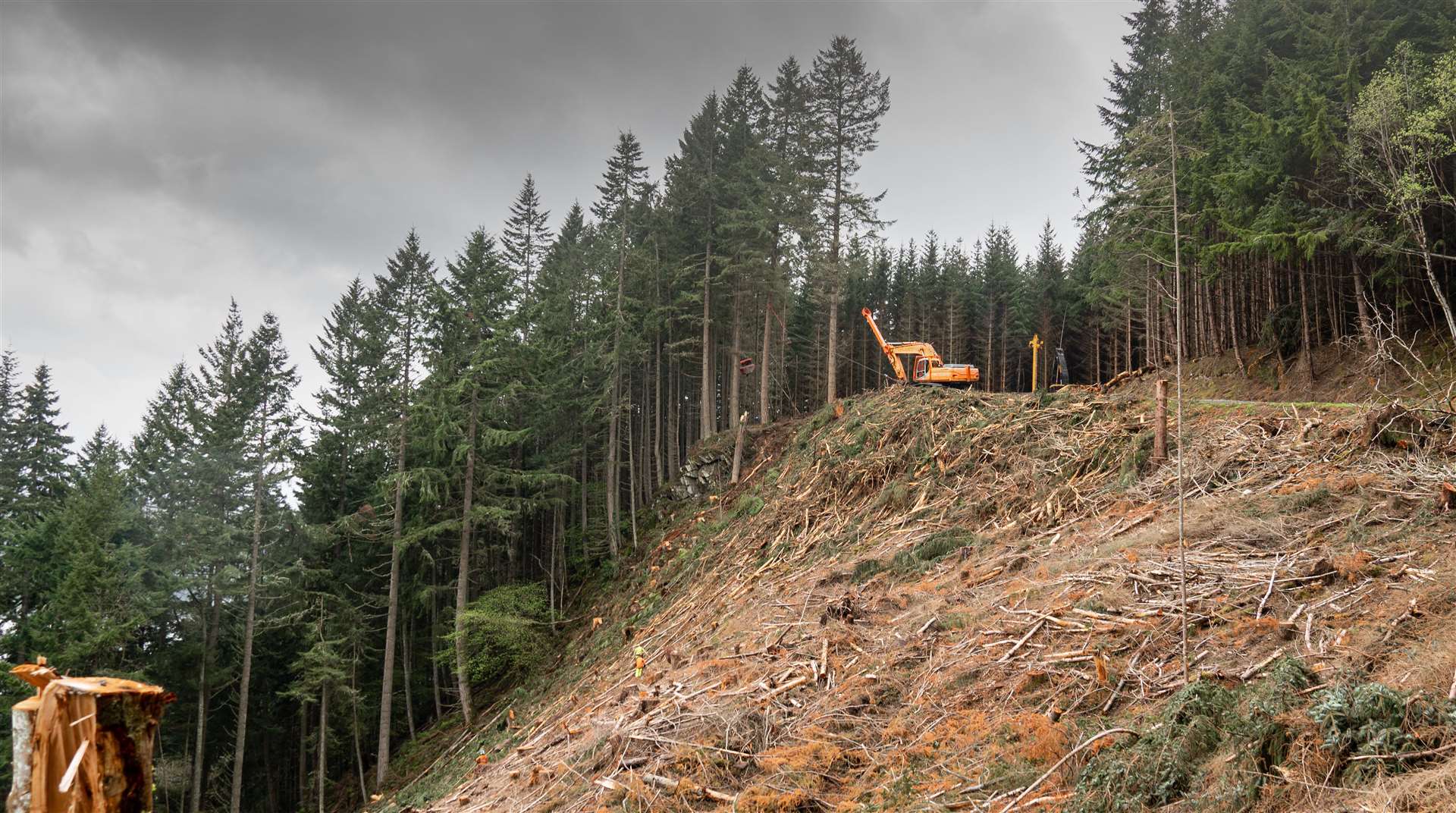 Tree felling will resume in January at the site at Grotaig. Picture: FLS